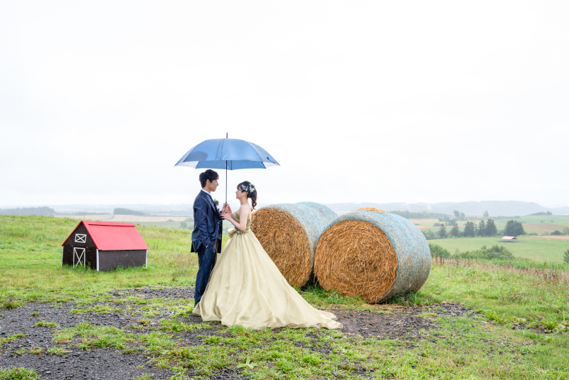 丘のうえを選んだ理由