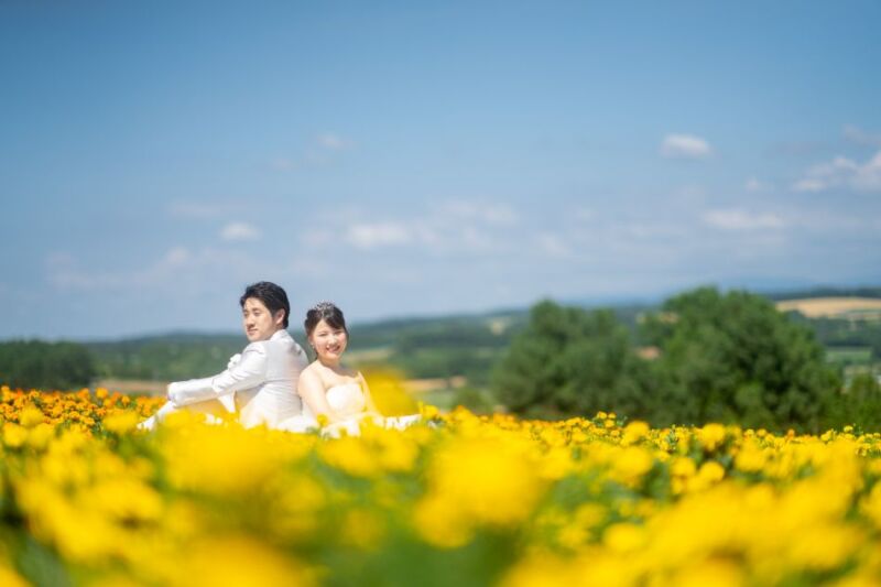 丘のうえを選んだ理由２