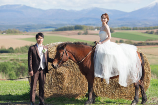 ファームズ千代田馬とふれあい＆青い池
