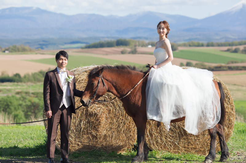 ファームズ千代田馬とふれあい&青い池