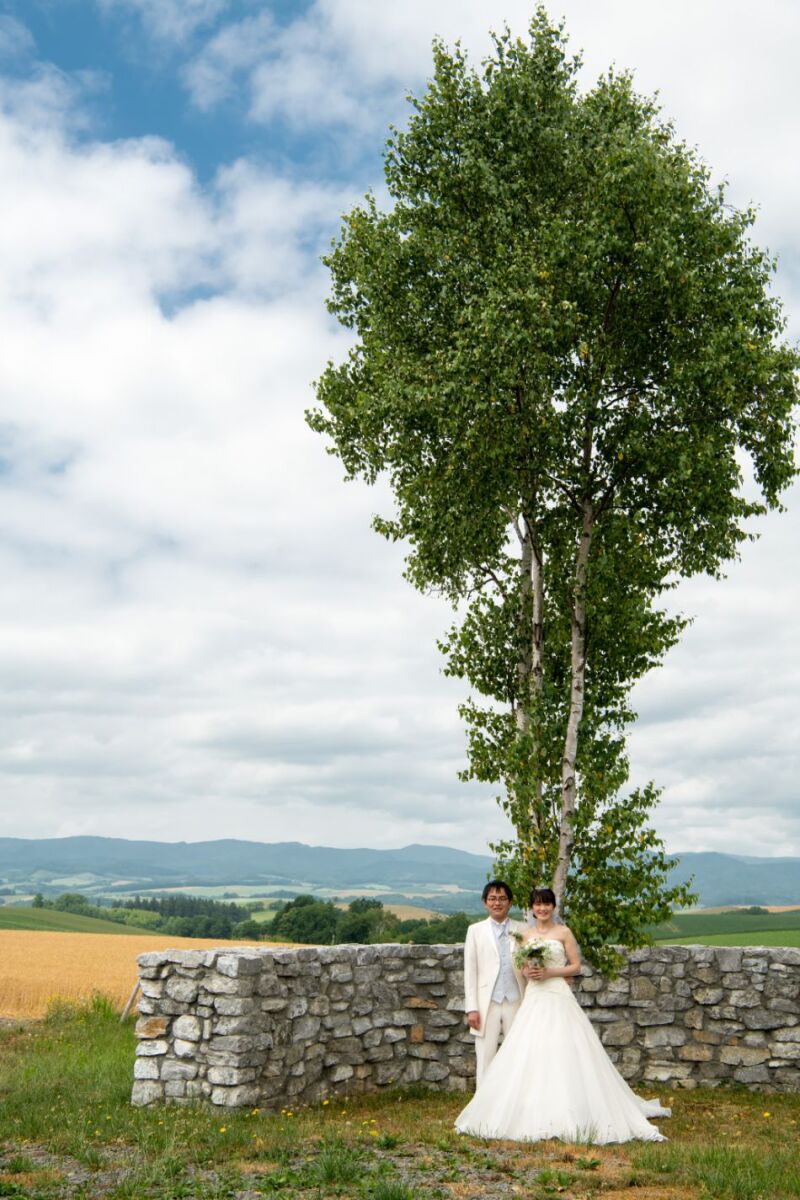 丘のうえを選んだ理由