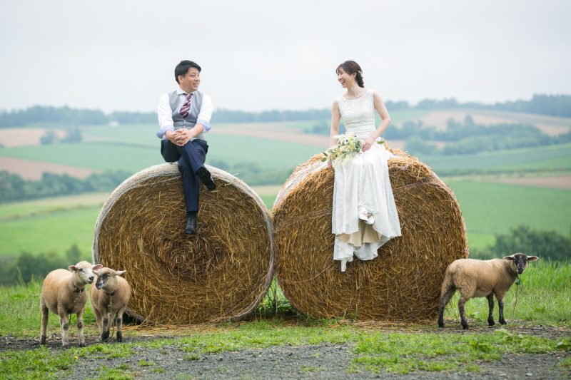 ファームズ千代田