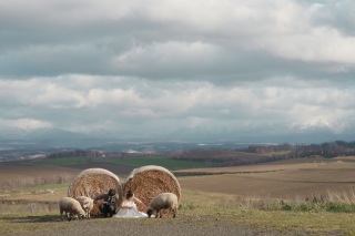 餌やりや散歩も体験しながらのWedding　Photo／【お客様の声】