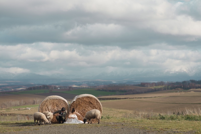 餌やりや散歩も体験しながらのWedding　Photo／【お客様の声】