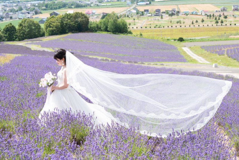 丘のうえを選んだ理由1