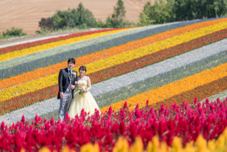 パッチワークの丘、ひまわり、丘のうえ3か所でのウェディングフォト体験レポート