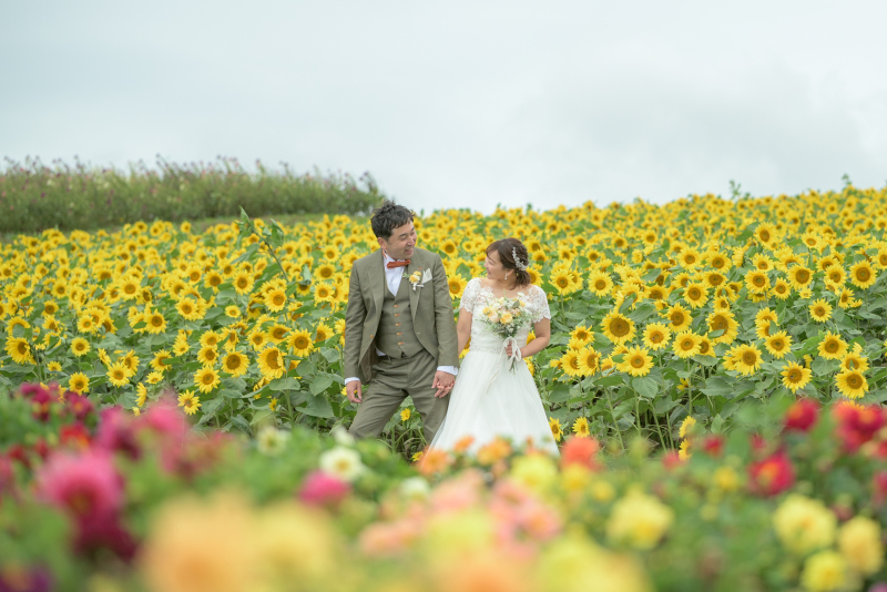 美瑛2か所プラン