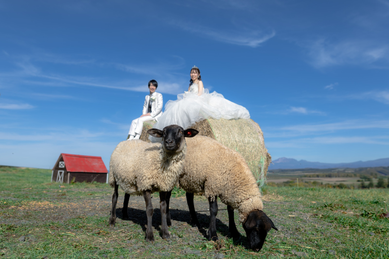 撮影で良かったこと