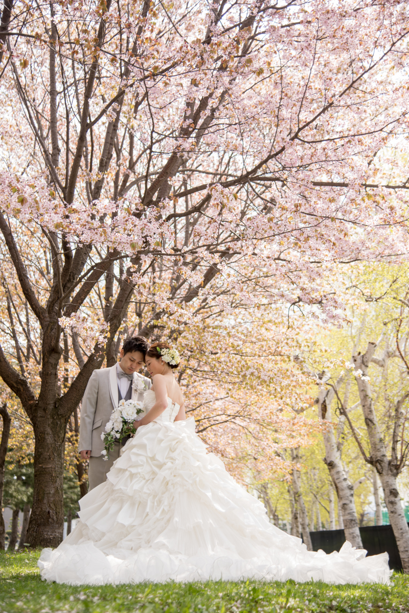 満開の桜でのこすやさしいロケーションフォト