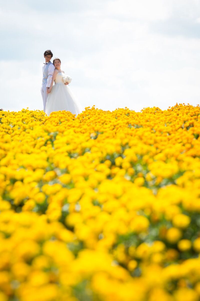 撮影で良かったこと