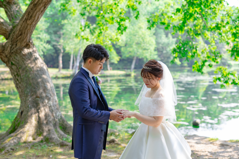 丘のうえを選んだ理由