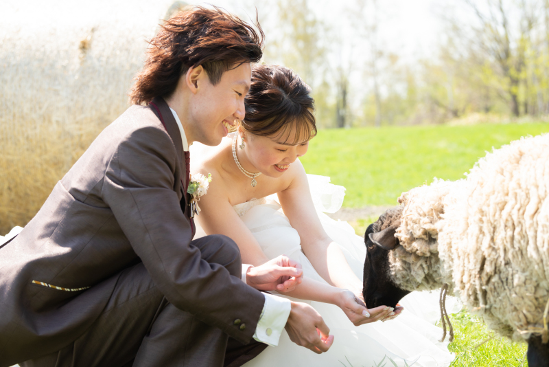 美瑛2か所プラン