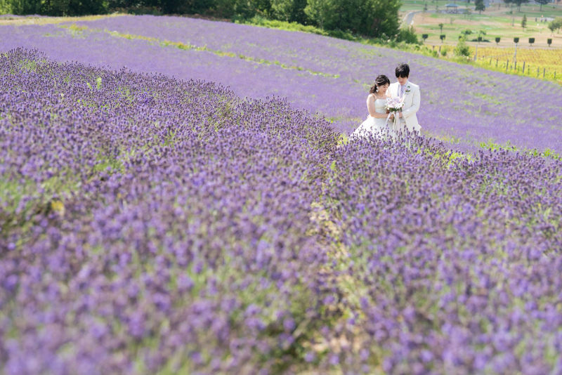丘のうえを選んだ理由2