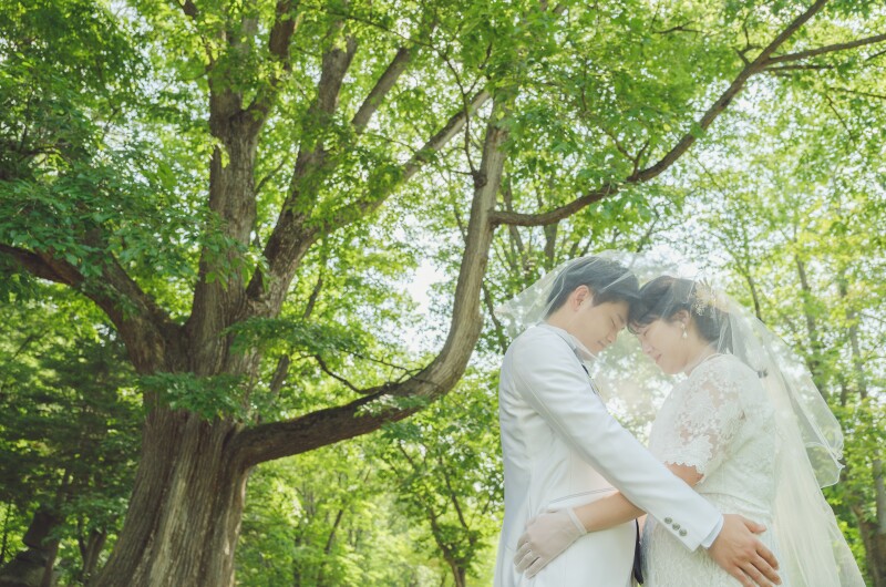 エメラルドグリーンの世界