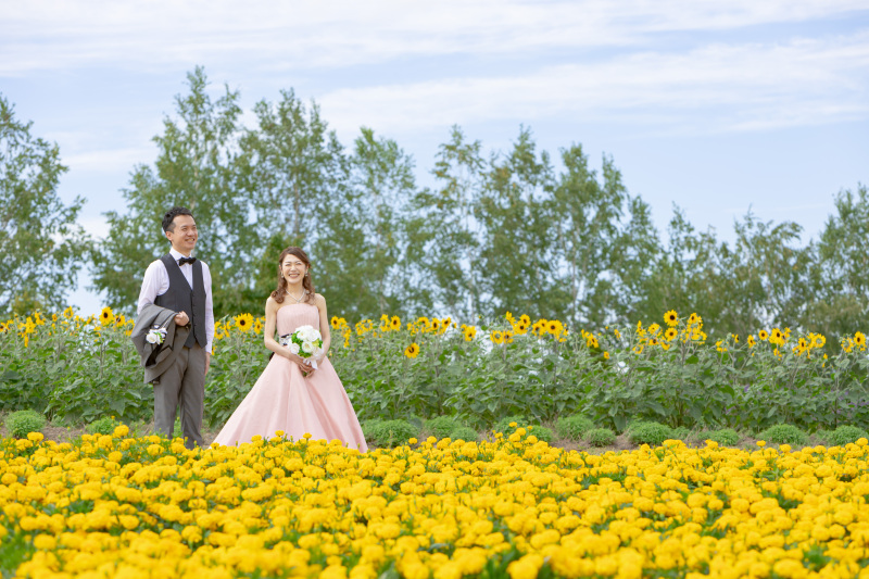 ひまわりとキンギョウソウ