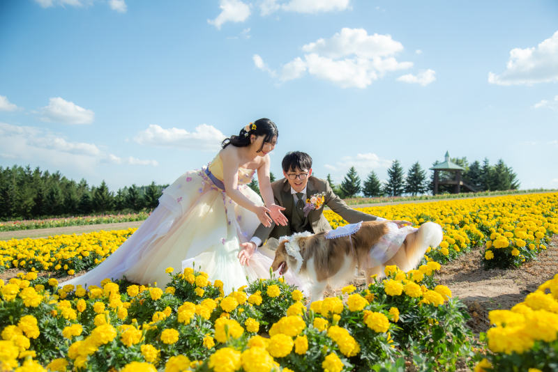 一言メッセージ