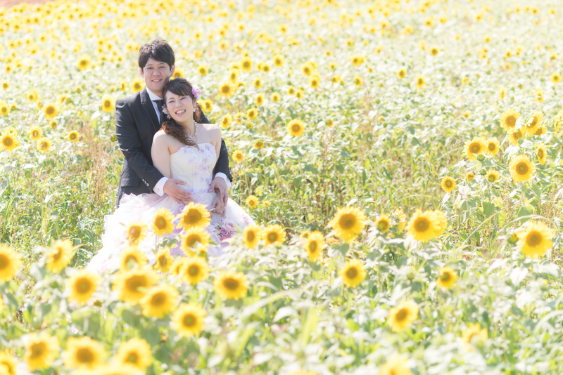 希望どうりのひまわり