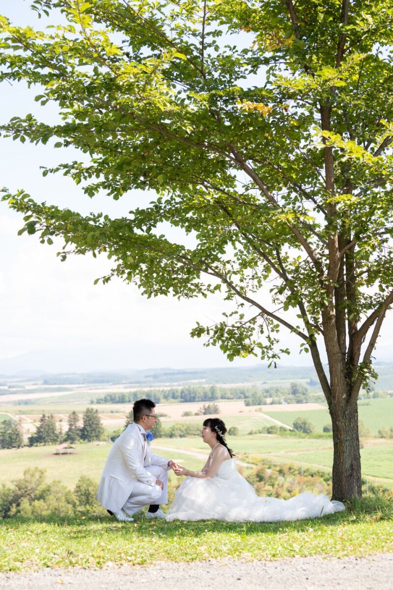 丘のうえを選んだ理由２