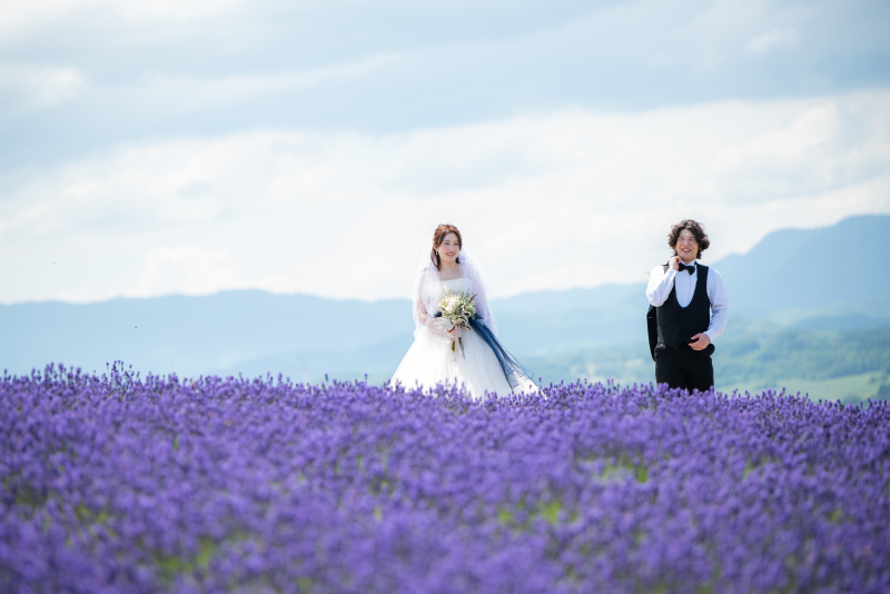 美瑛・富良野３か所プラン