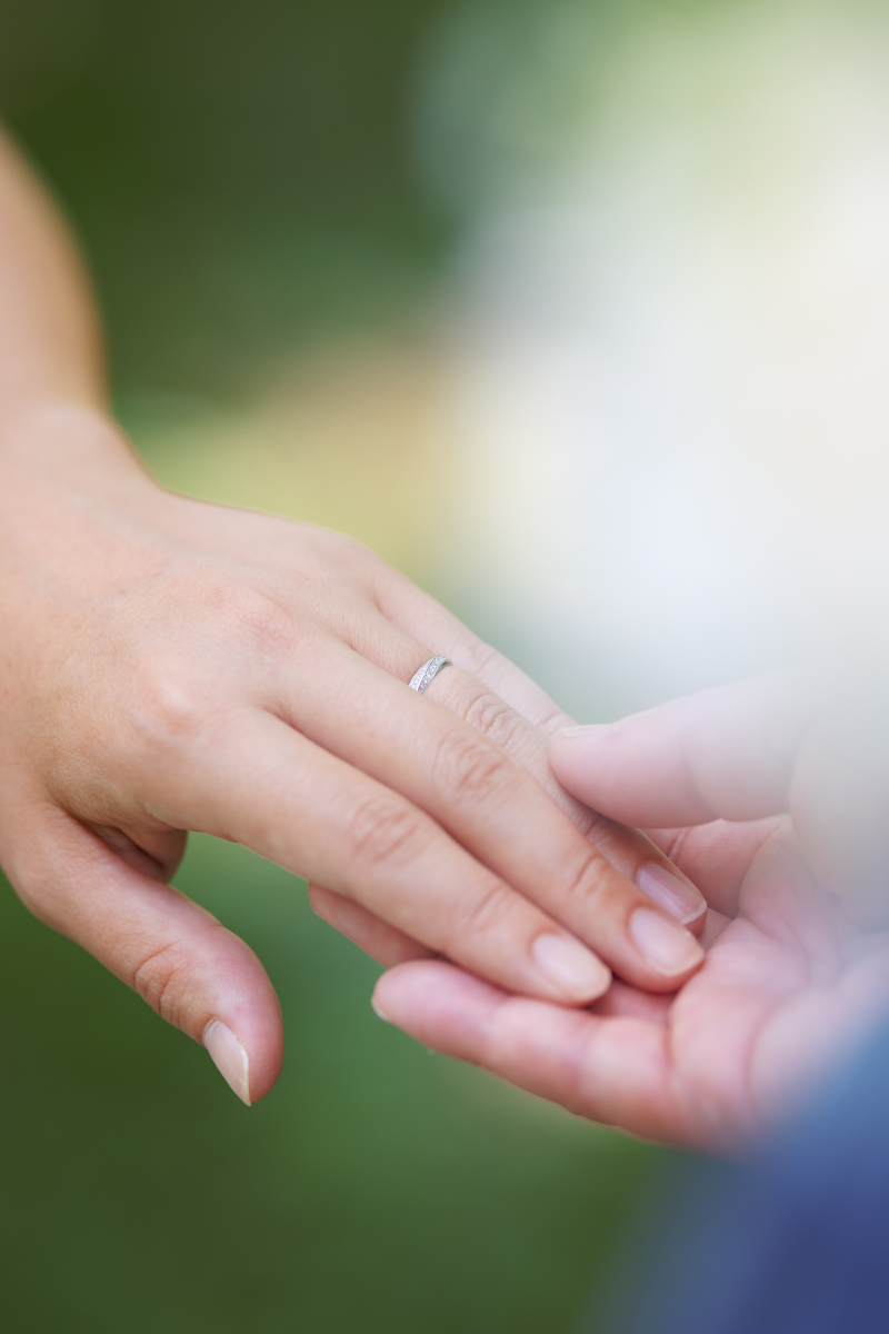 丘のうえを選んだ理由