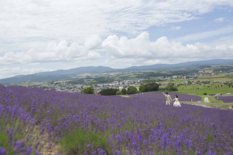 富良野の街を一望