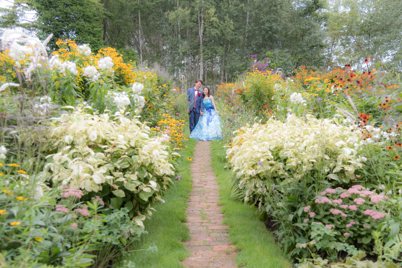 おもいどうおりのワンシーン