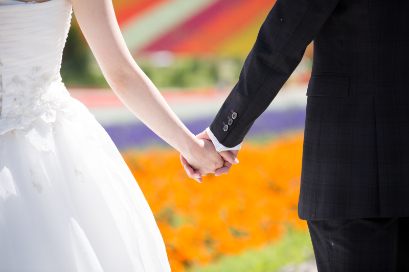 丘のうえを選んだ理由