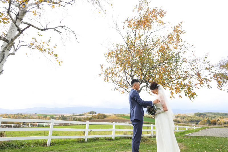 透明で適切で安心