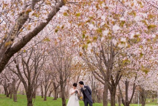 桜とともにWedding　Photo／【お客様の声】
