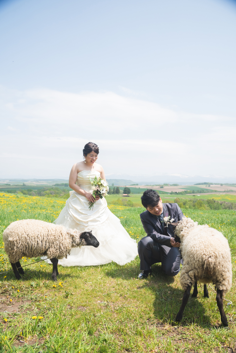 ファームズ千代田