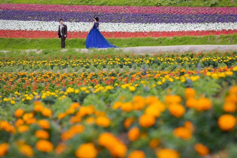 丘のうえを選んだ理由