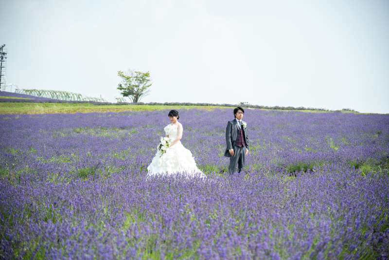 一言メッセージ