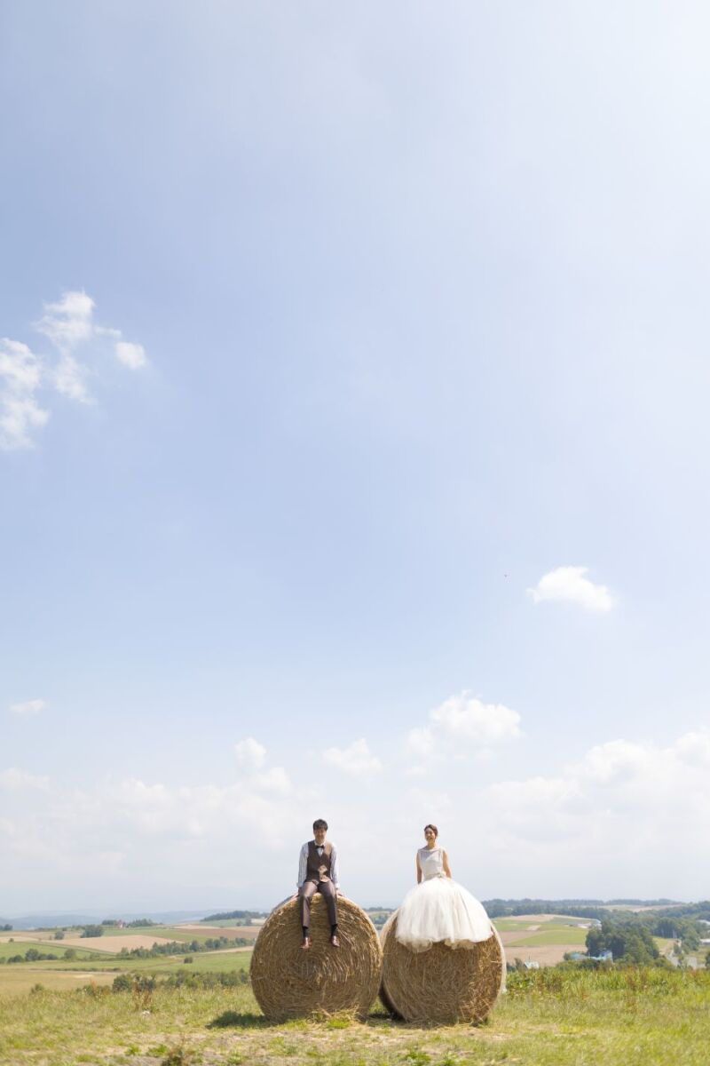 丘のうえを選んだ理由