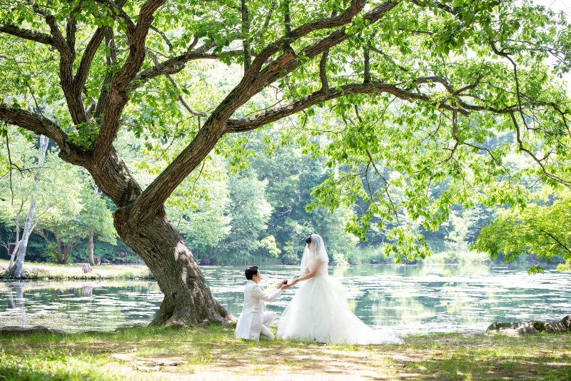 丘のうえを選んだ理由