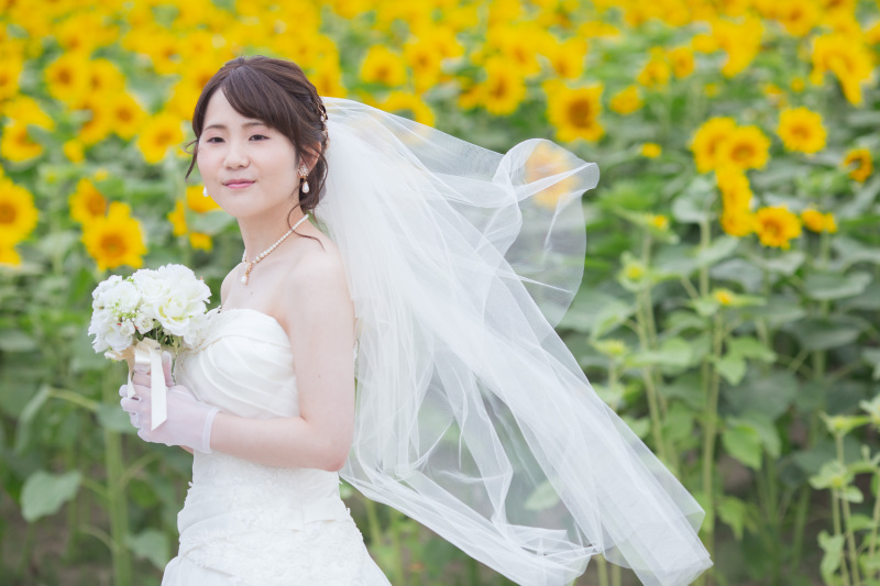 四季差の丘へ移動