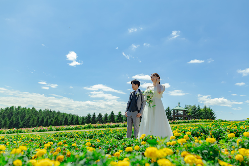 オールインワンプラン