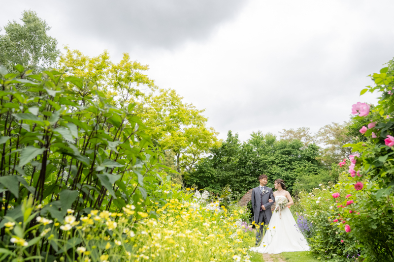 丘のうえを選んだ理由