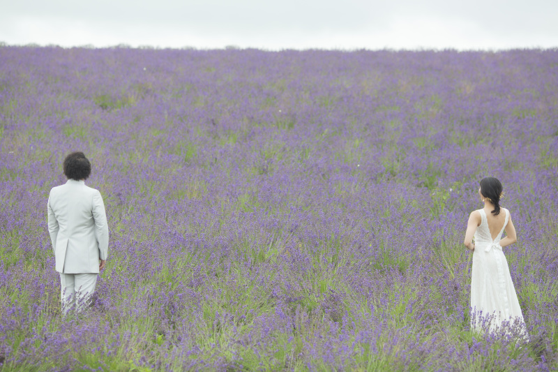 日の出公園ラベンダー畑からスタート