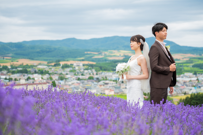 中富良野の街を望む