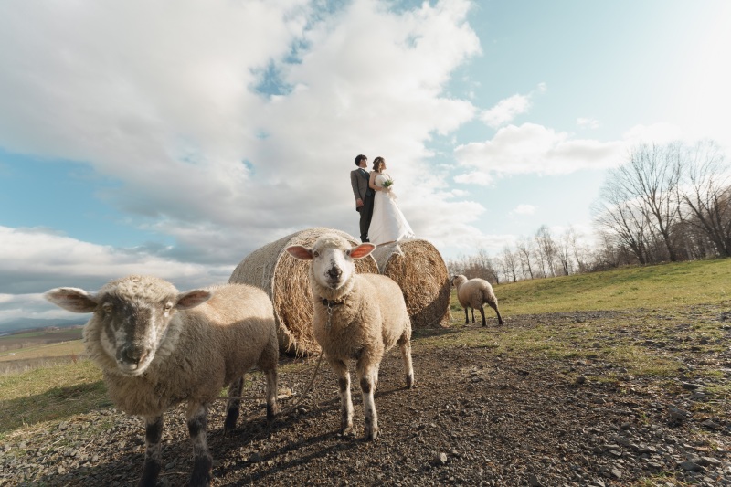 美瑛2か所プラン