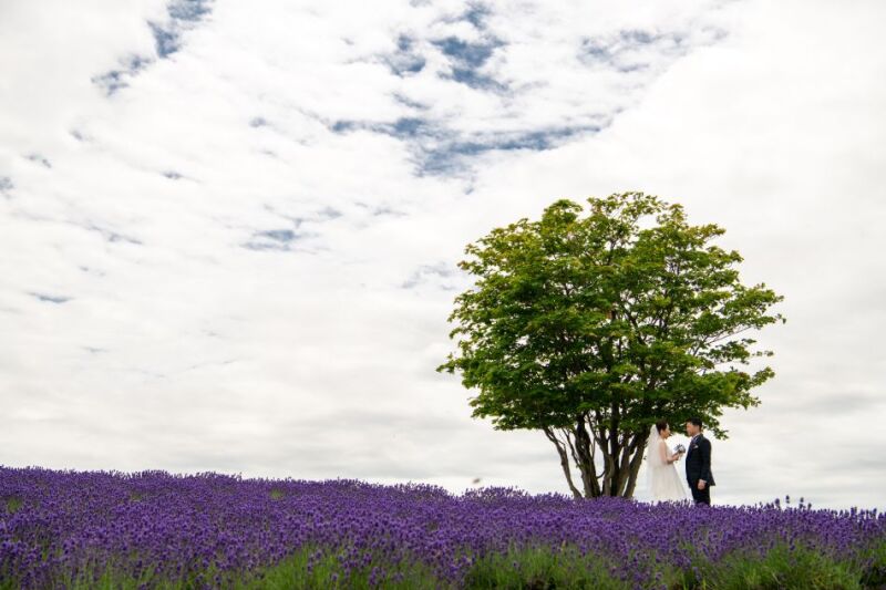 大好きな北海道でロケーションフォト。埼玉から【お客様の声】