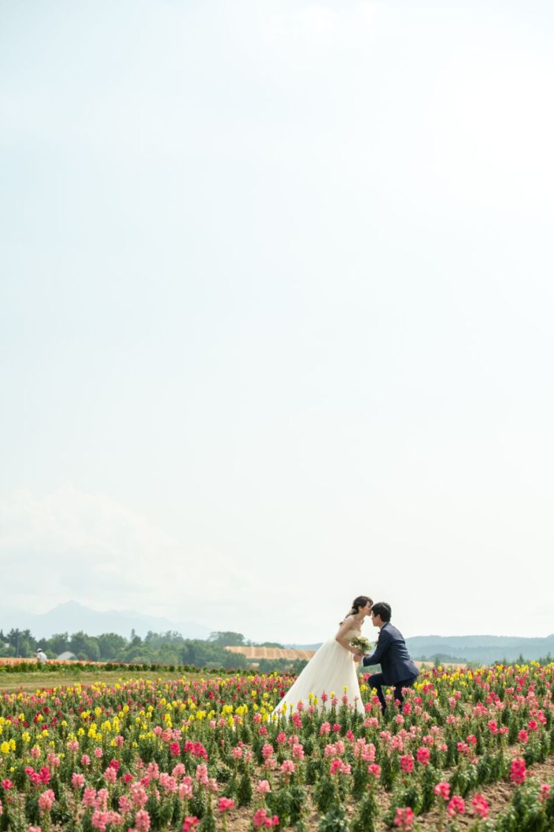 ドローン撮影も