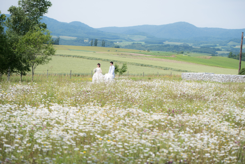 チーム感想をお聞かせください