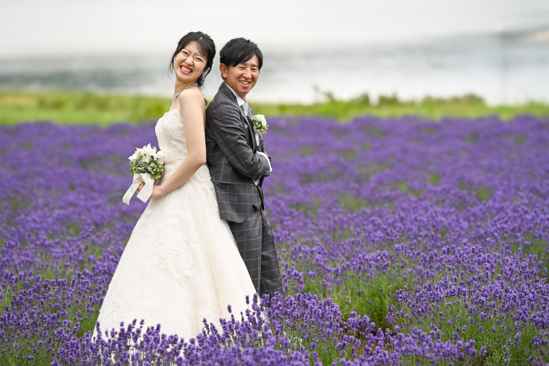 日の出公園とはまた違ったラベンダー