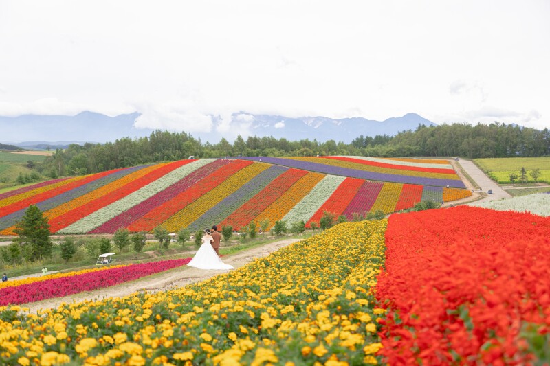 撮影で良かったこと