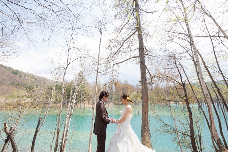 オールインプラン