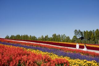 大好きなお花畑に囲まれて／和装＆洋装【お客様の声】