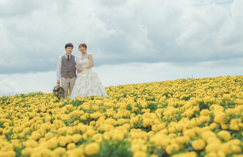 幸せの黄色いじゅうたん