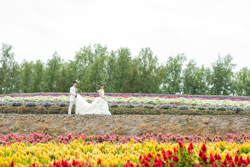  一言メッセージ