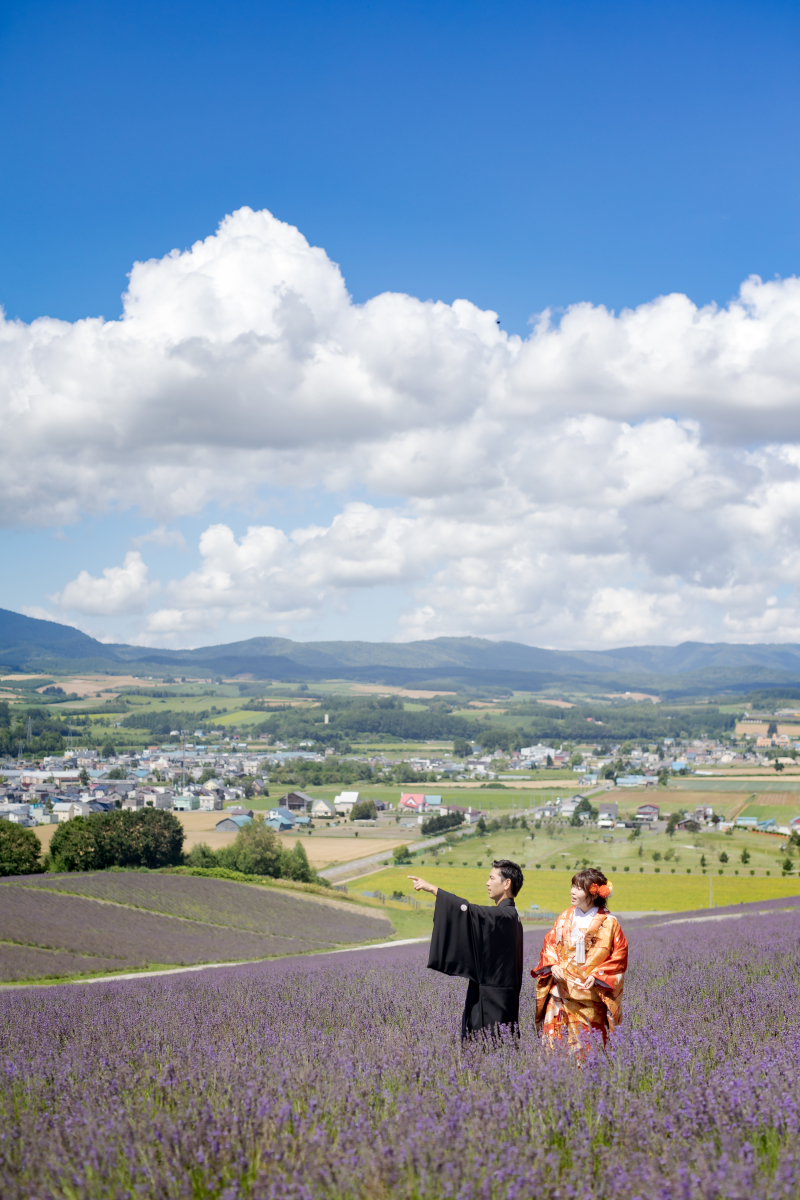 富良野の街を望む